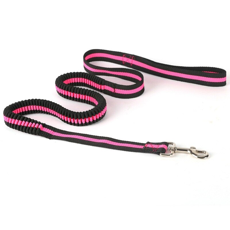 Pet Dog Lead Leash