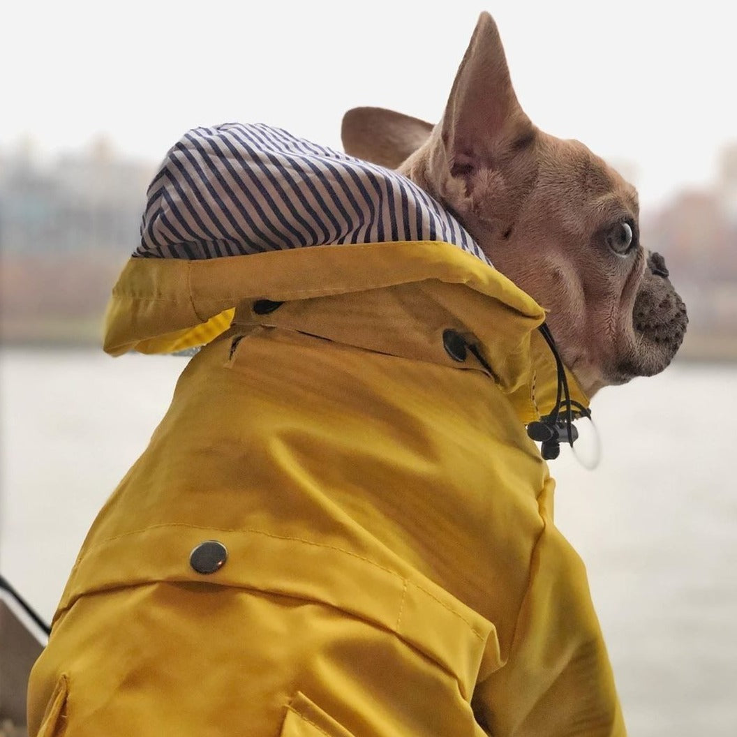 Waterproof Dog Windbreaker Jacket Raincoat