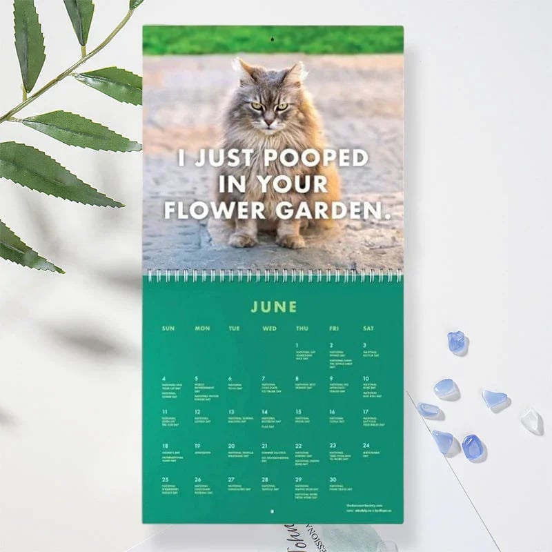 😾2023 Pissed-Off Cats Calendar