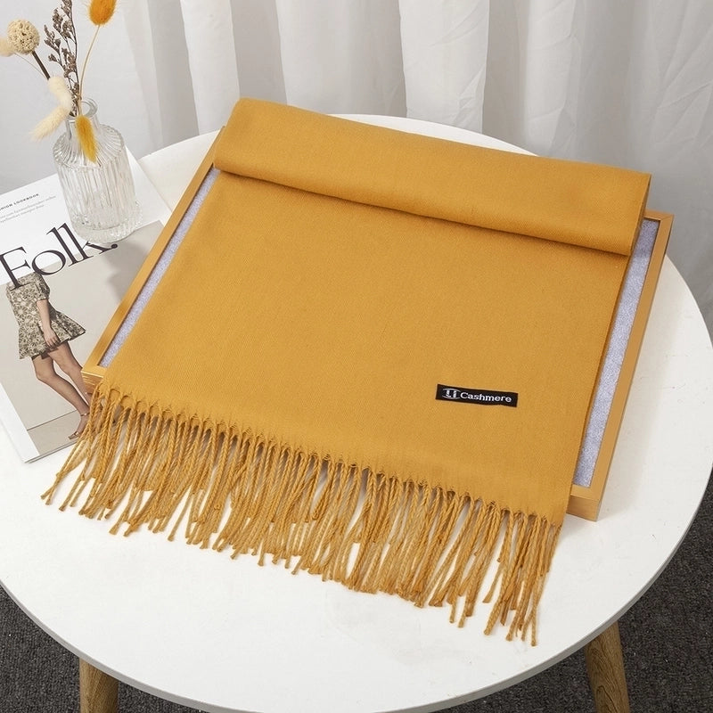 Women's Minimalist Solid Color Imitation Cashmere Tassel Scarf