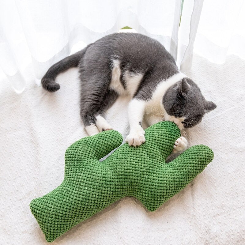 Cactus Catnip Cat Toy