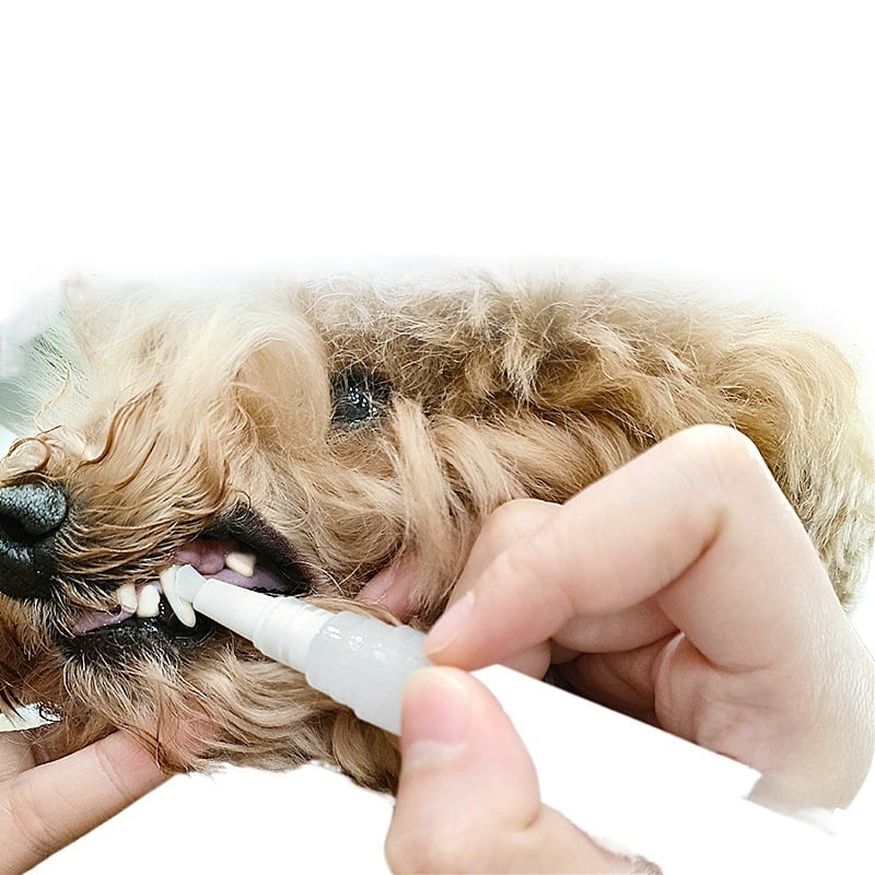 Pet Toothbrush Pen