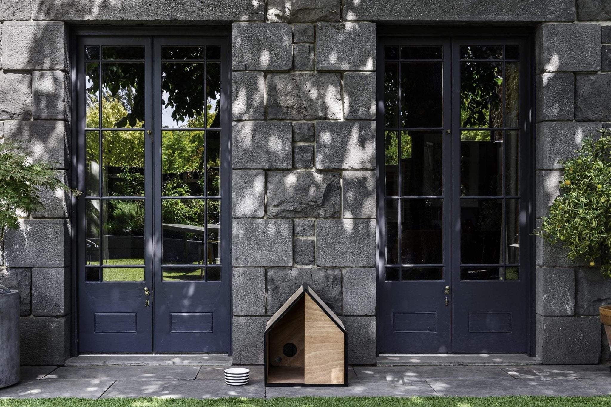 The Dog Room in Large