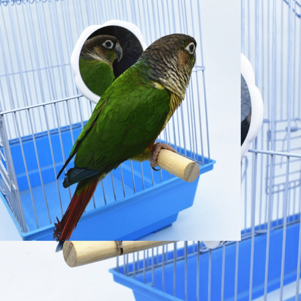 Wooden Pet Bird Toys with Mirror