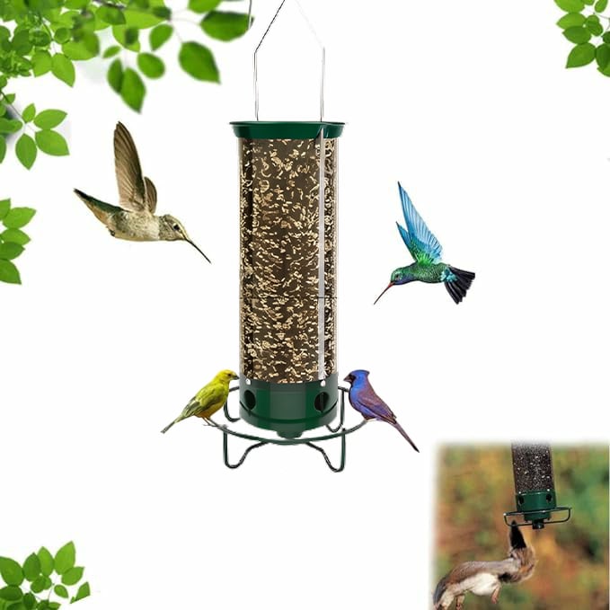 🔥48% OFF🐦Squirrel-Proof Bird Feeder💥Buy 2 Get Free Shipping