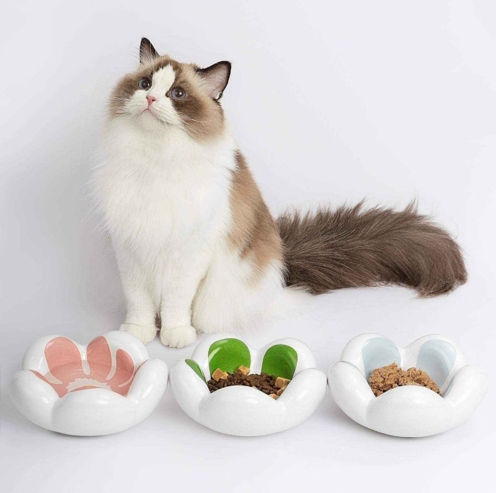 Wulee Petal Shaped Ceramic Antibacterial Pet Cat Bowls Small Dog Bowls