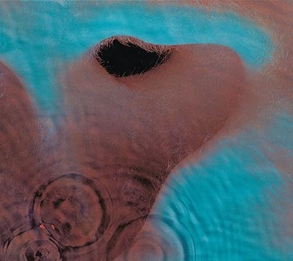 Pink Floyd-Meddle Vinyl LP