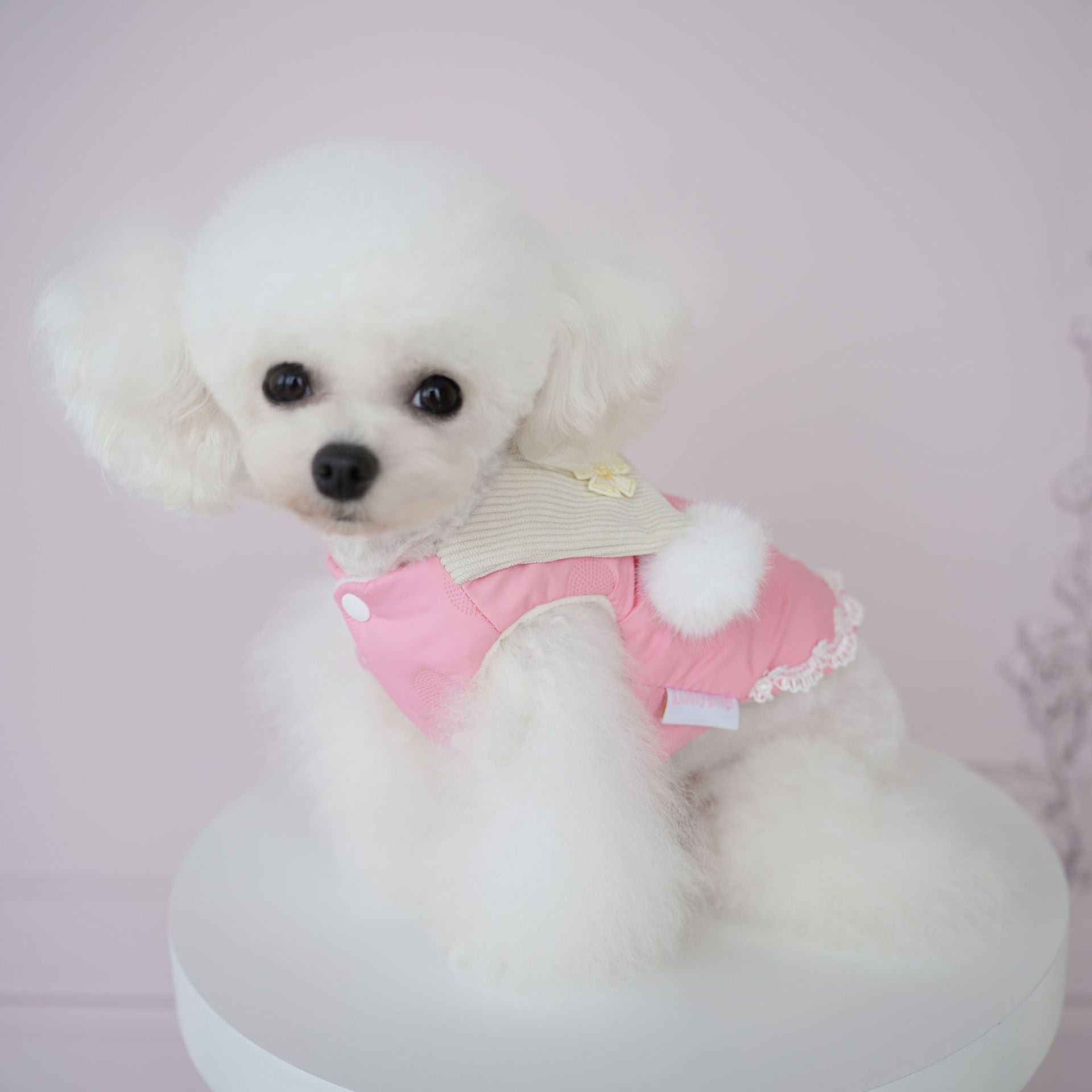 Furry Ball Decor Square Collar Dog Cat Jacket