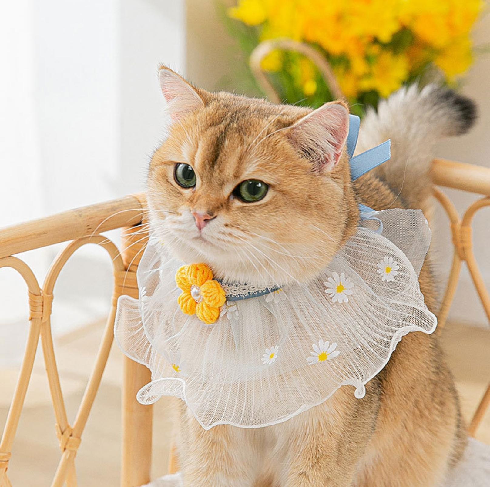 Lace Bib & Floral Necktie for Cats and Dogs