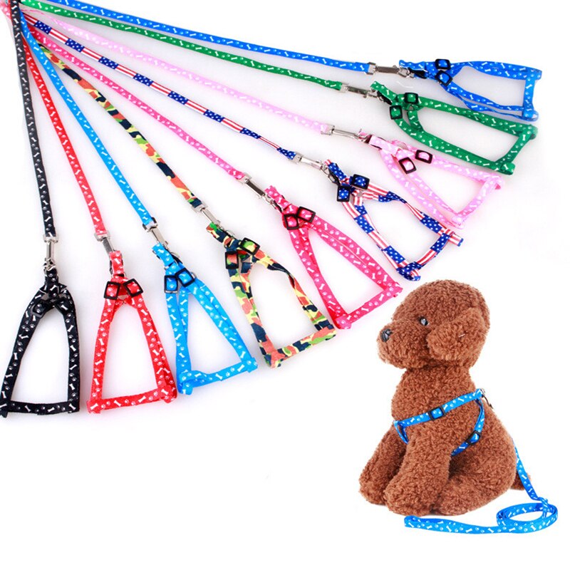 Adjustable Nylon Dog Leash and Harness Set