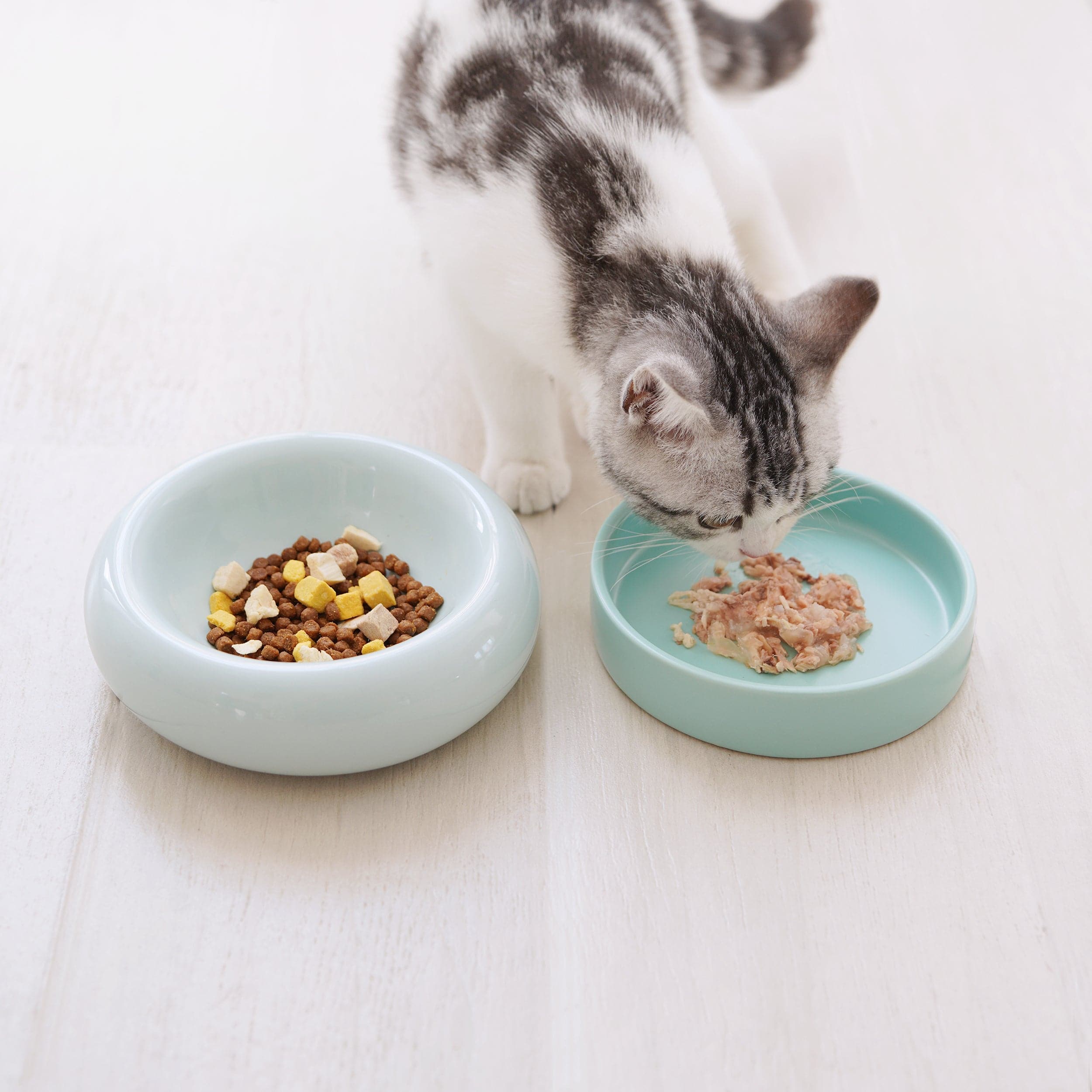 Bowl｜Dog Bowls & Cat Bowls｜