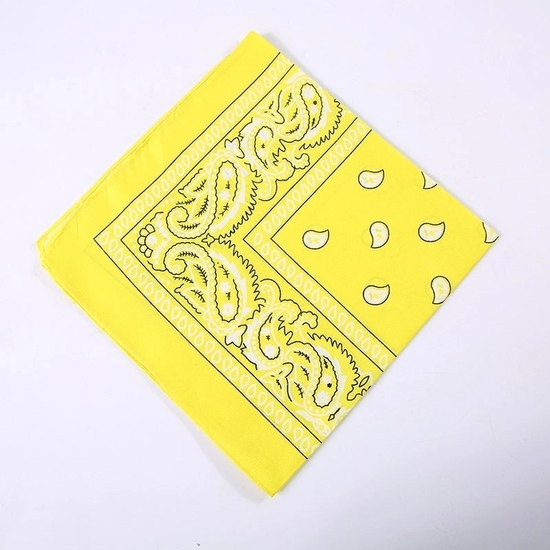 Unisex Hip-Hop Paisley Polyester Bandanas