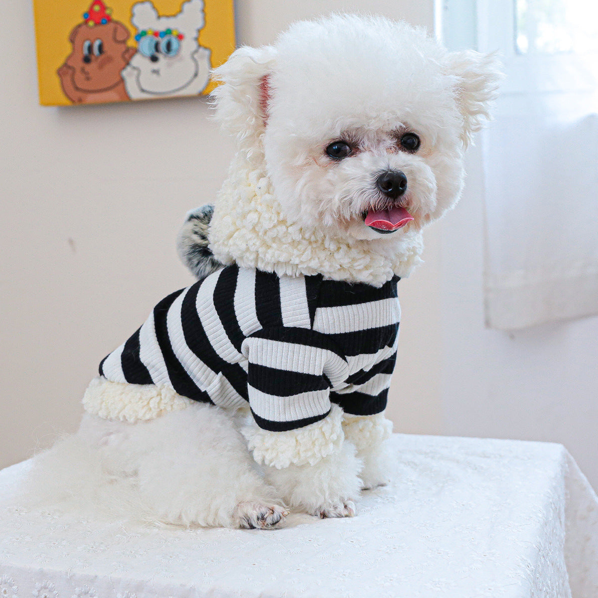 Striped Ball Design Dog Cat Hooded Hoodie