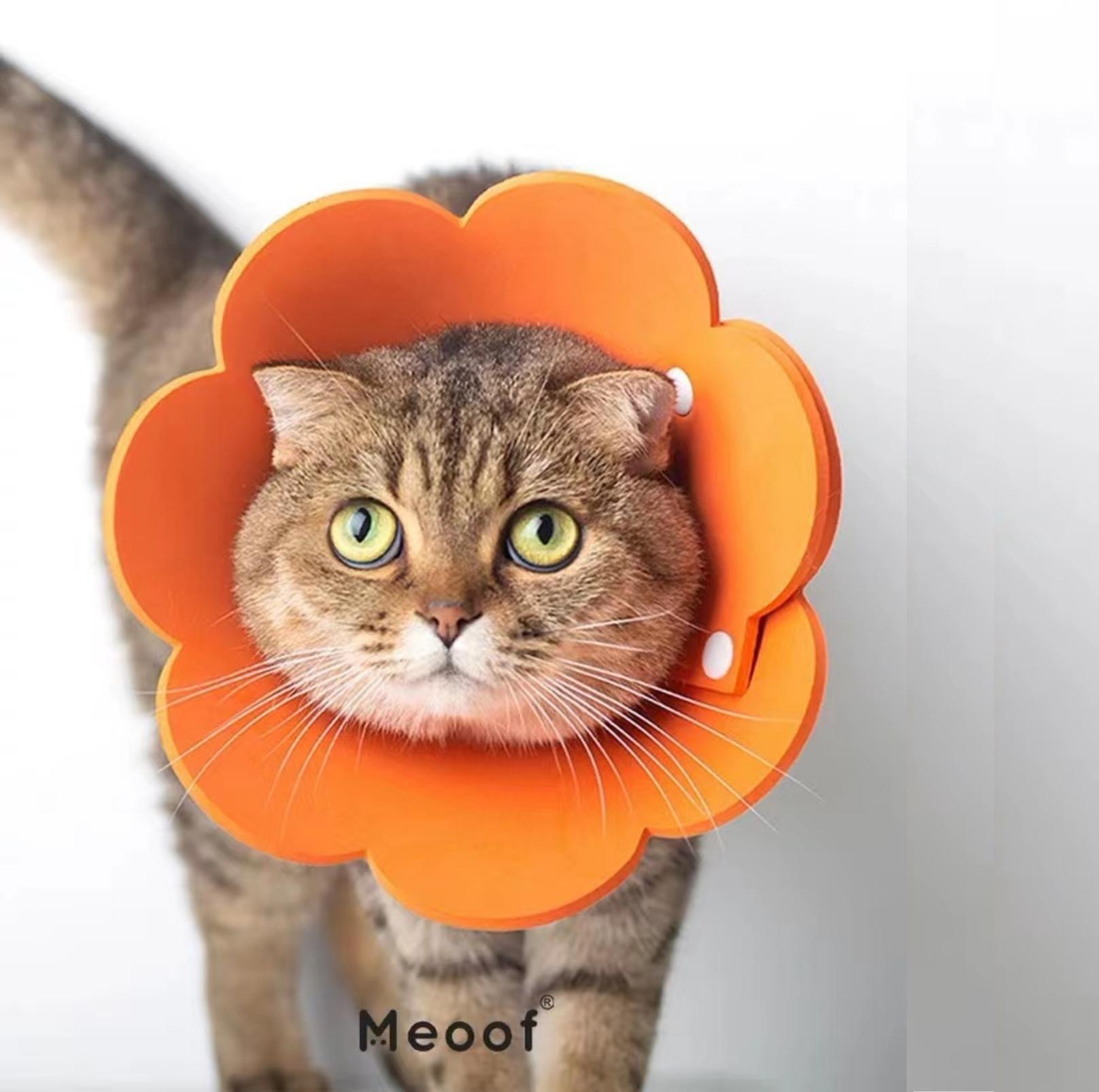 Meoof Sunflower E-Collar - Lightweight & Stylish for Cats & Dogs