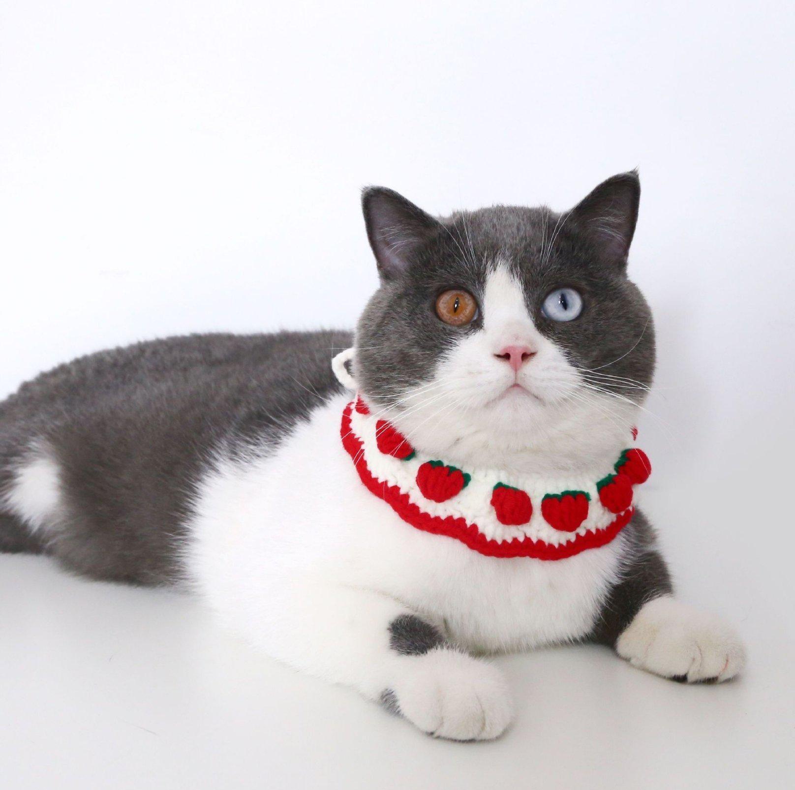 Knitted Cute Strawberry Pet Collar