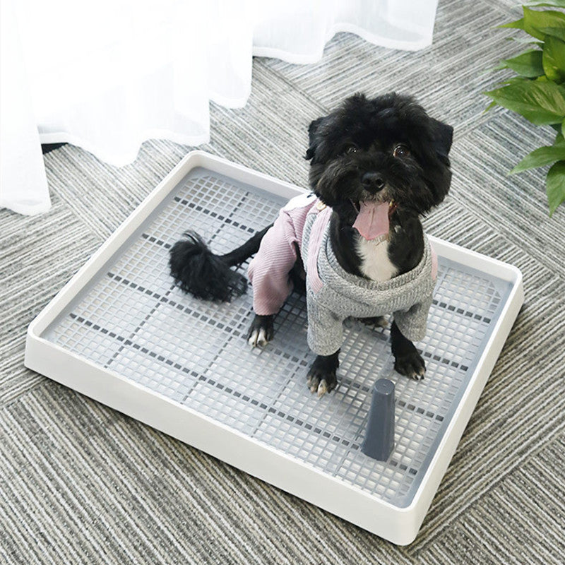 Indoor Dog Potty Training Toilets