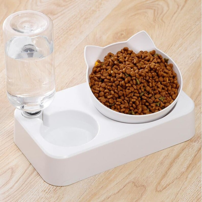 Pet Food And Water Dispenser