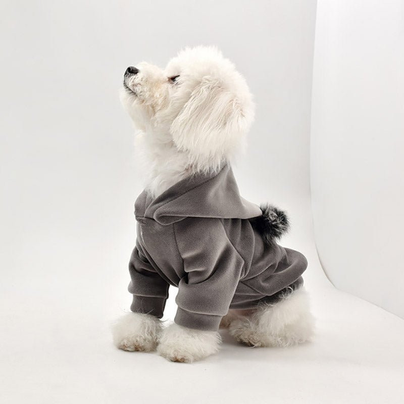 Thick Cotton Pom Pom Pet Hoodie