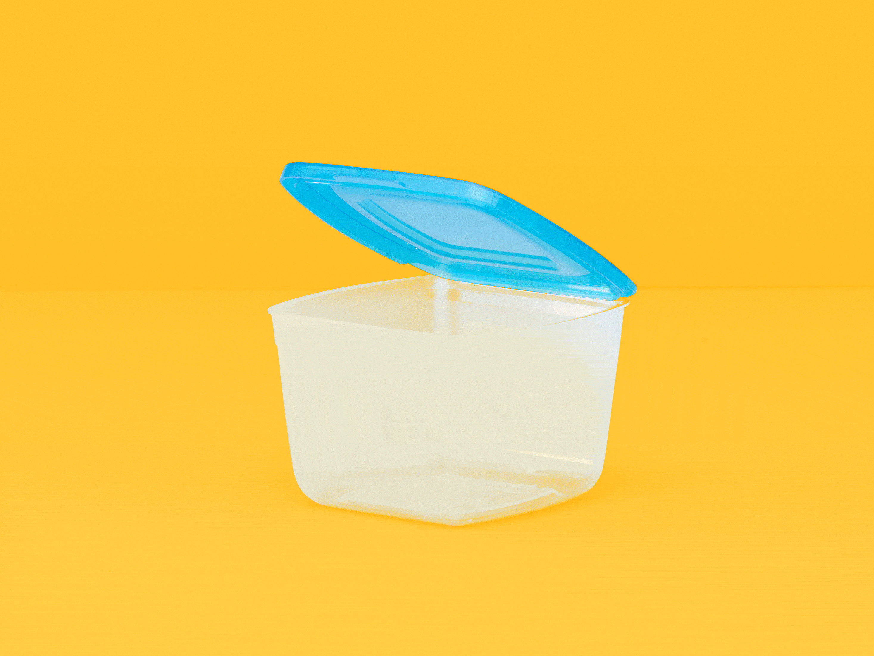4 CUP CONTAINER