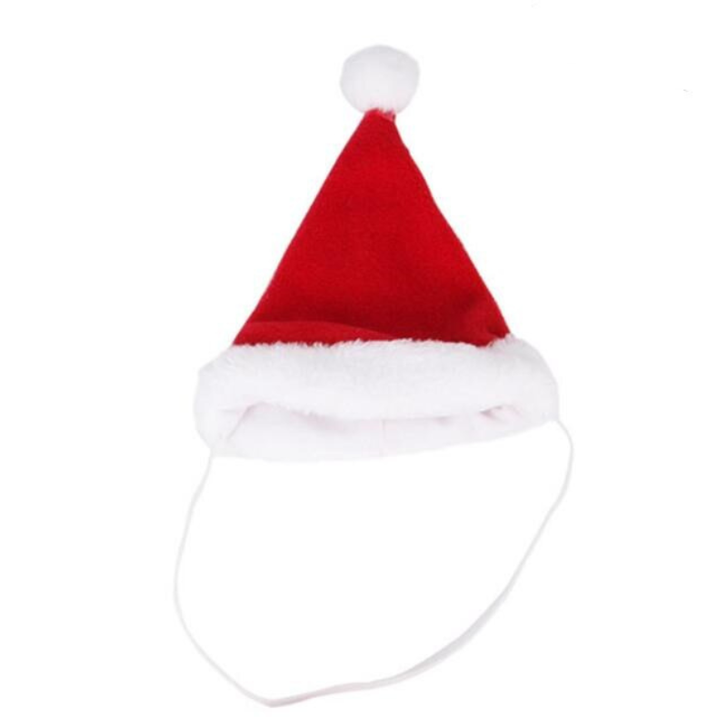 Themed Pet Cat Hats