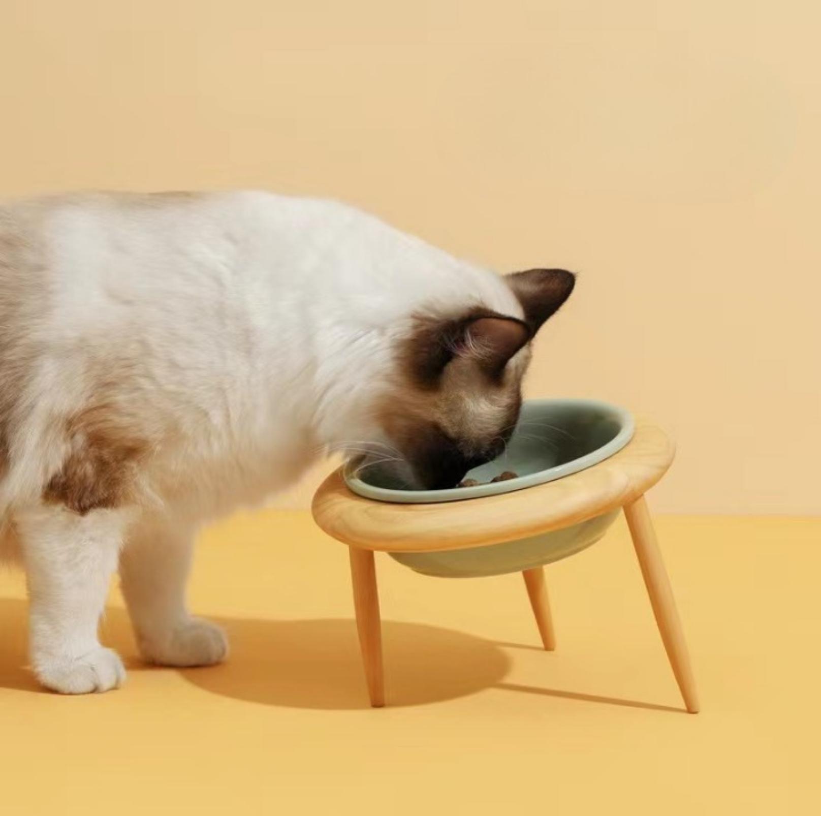 Ceramic Height Adjustable Pet Bowl with Wooden Stand | Small Dog and Cat Bowls