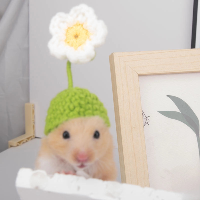 Hamster Hat Parrot Hair Band Photo Small Animal Headdress Handmade Frog Hat Ornaments Hedgehog Headgear Explosions