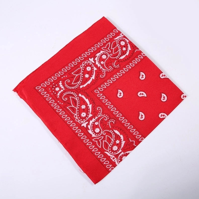 Unisex Hip-Hop Paisley Polyester Bandanas