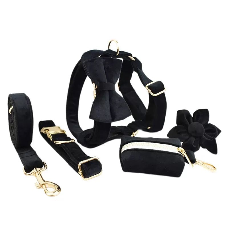 Velvet Personalized Dog Harness Collar Leash