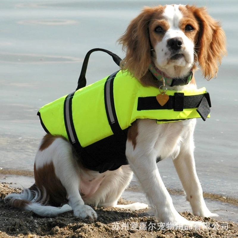 Minimalist Polyester Color Block Pet Clothing