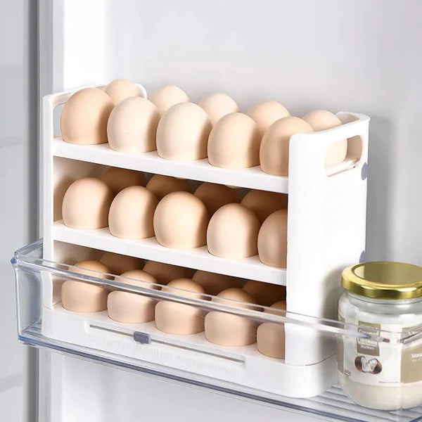 Egg Tray With Record Accurate Storage Time