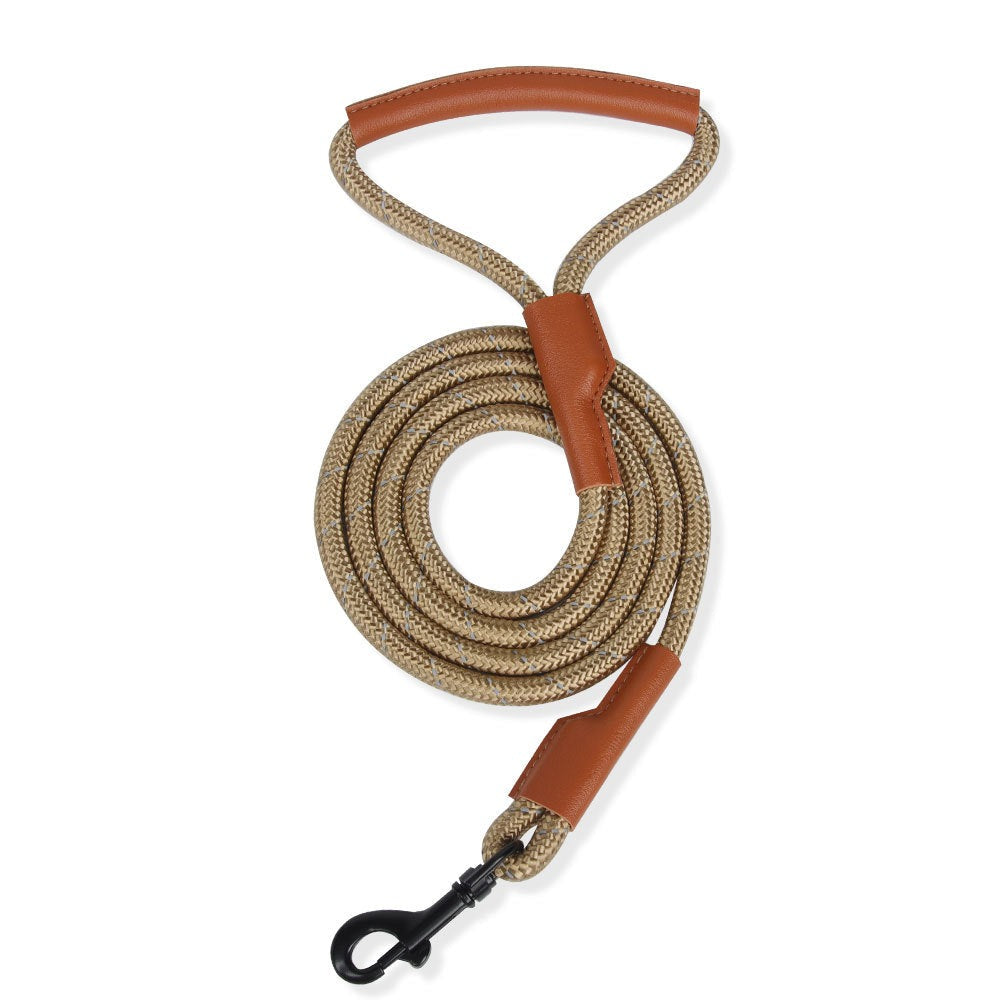 Contrast Color No Pull Dog Harness/Leash For Medium Dog