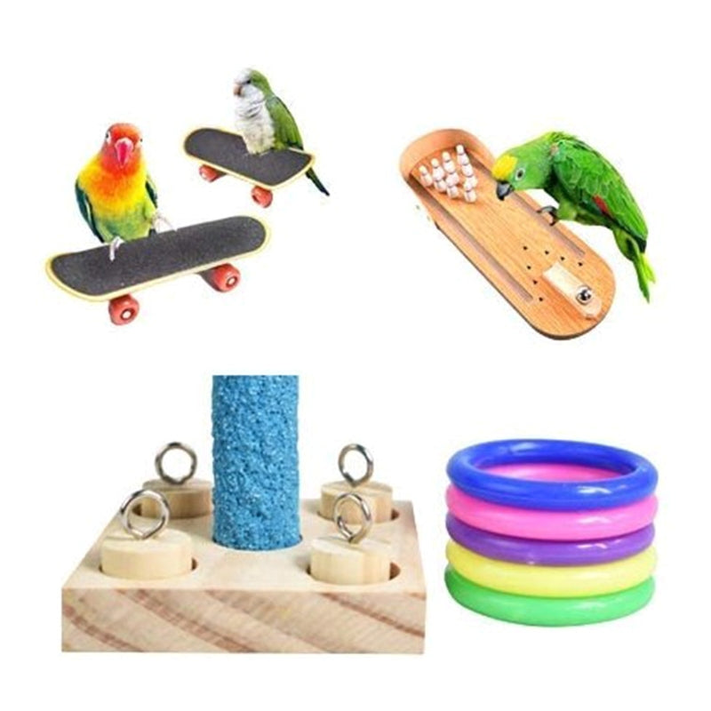 Training Chewing Bird Toys Set
