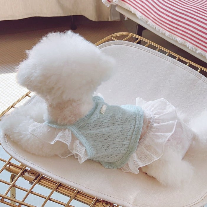 Breathable Lace Shoulder Cat Dog Vest