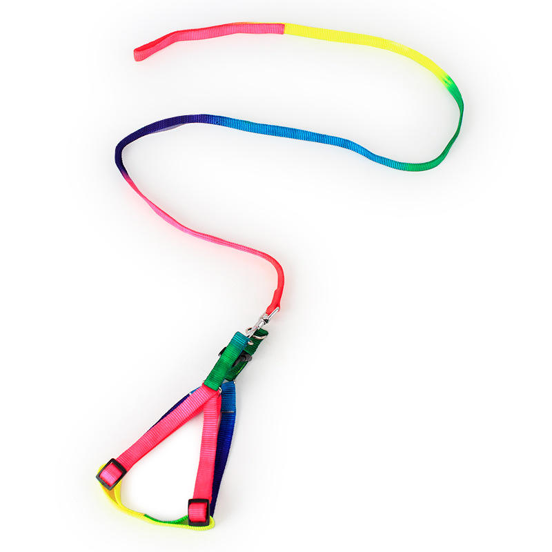 Small Pet Dog Multicolor Leash