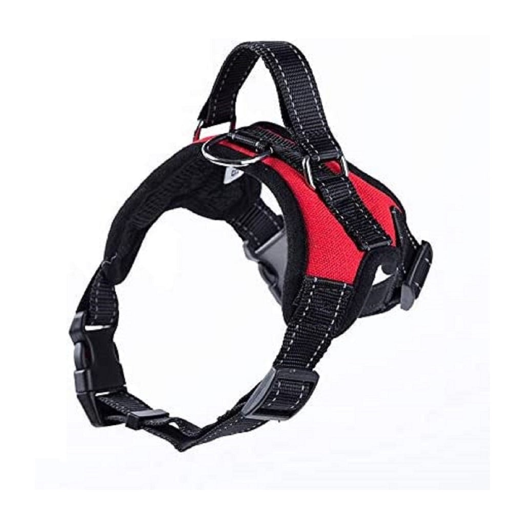 Dog Harnesses