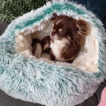 Premium Pet Bed