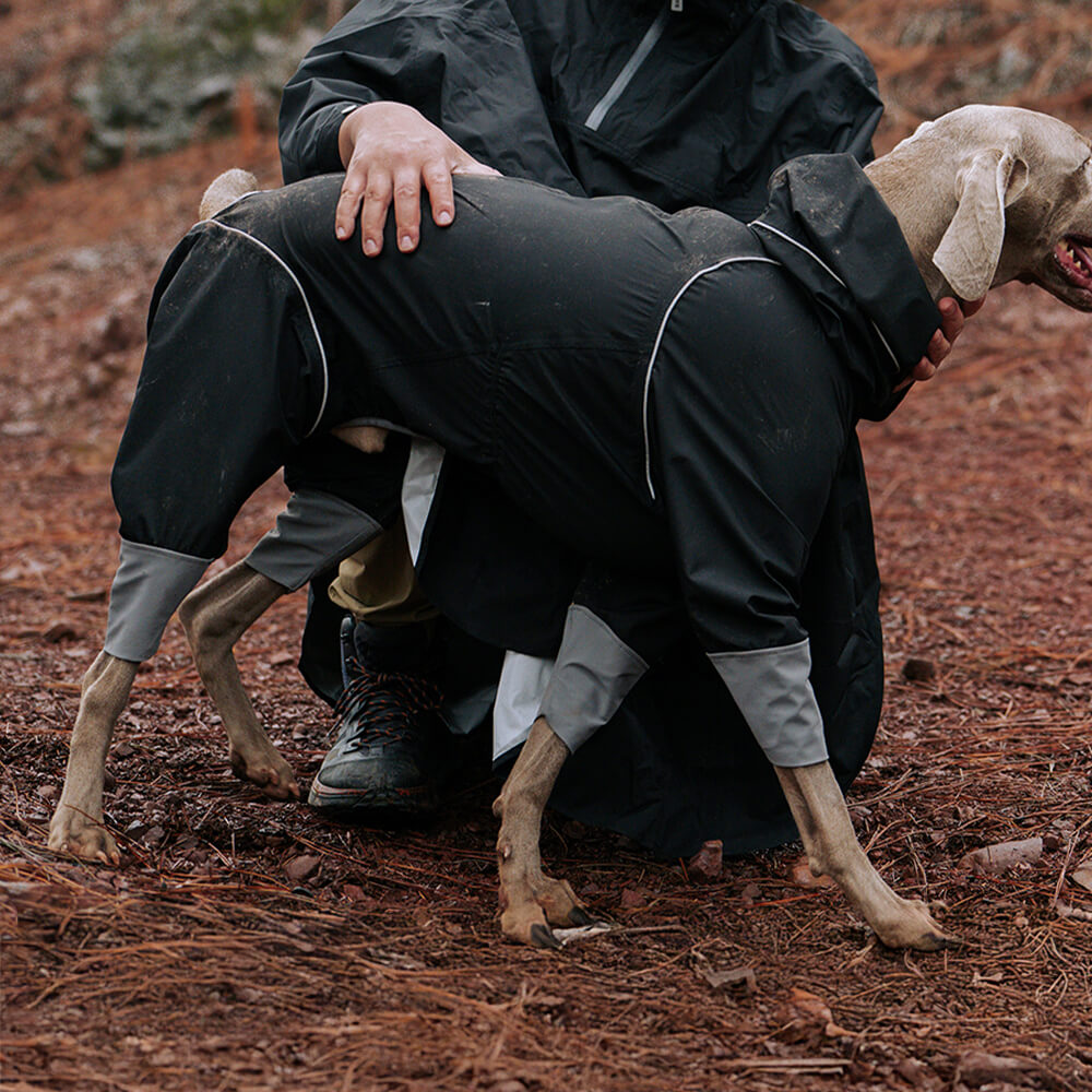 Large Adjustable Reflective Outdoor Dog and Human Matching Raincoat