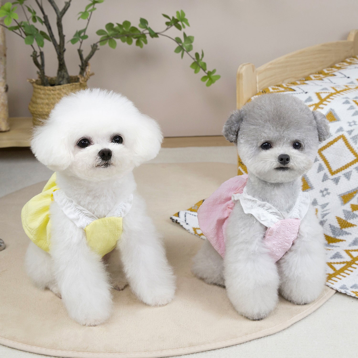 Solid Color Ruffled Puffy Dog Cat Dress