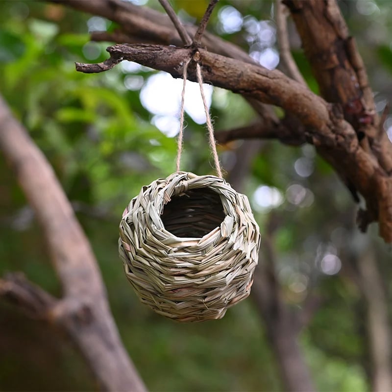 💲49% OFF-🐦Hummingbird Nest House