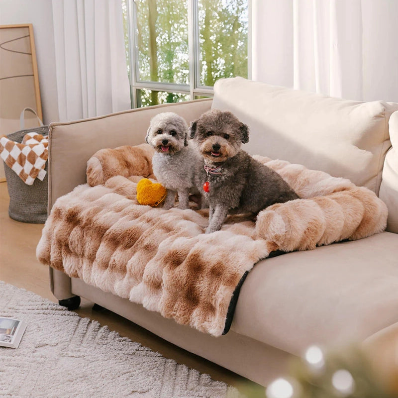 Minimalist Classic Style Cloth Solid Color Pet Bed