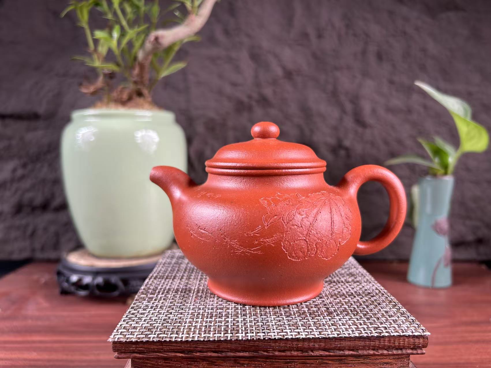 20250812-4-掇只（荷花）