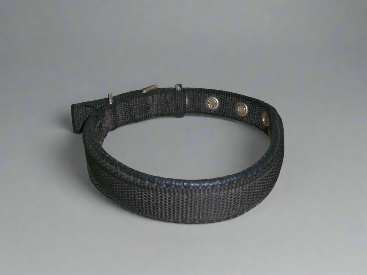 Leather - Embeded Dog collar