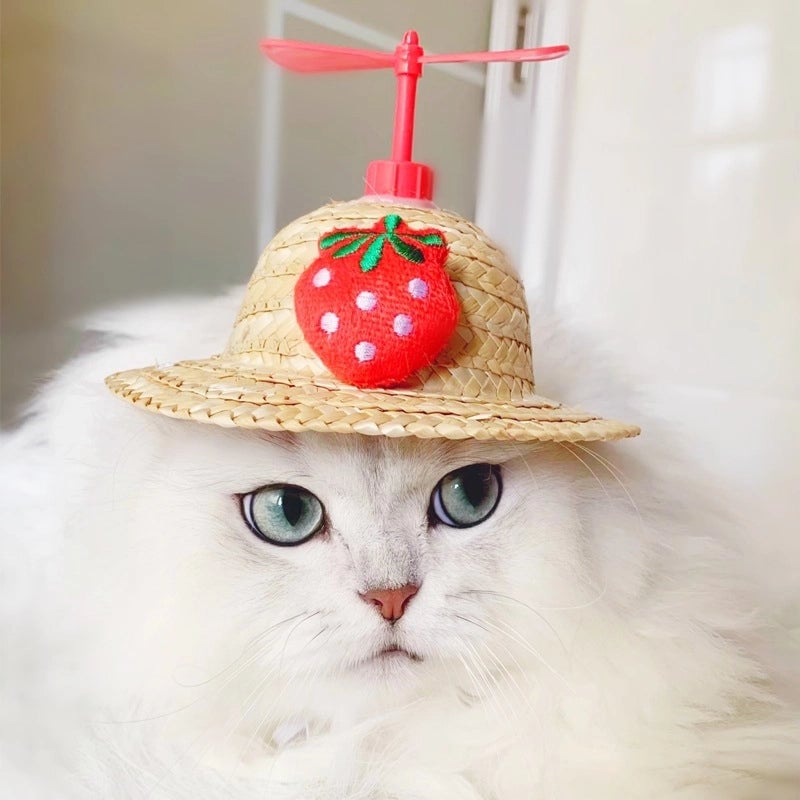 Cute Polyester Straw Animal Carrot Strawberry Pet Hat