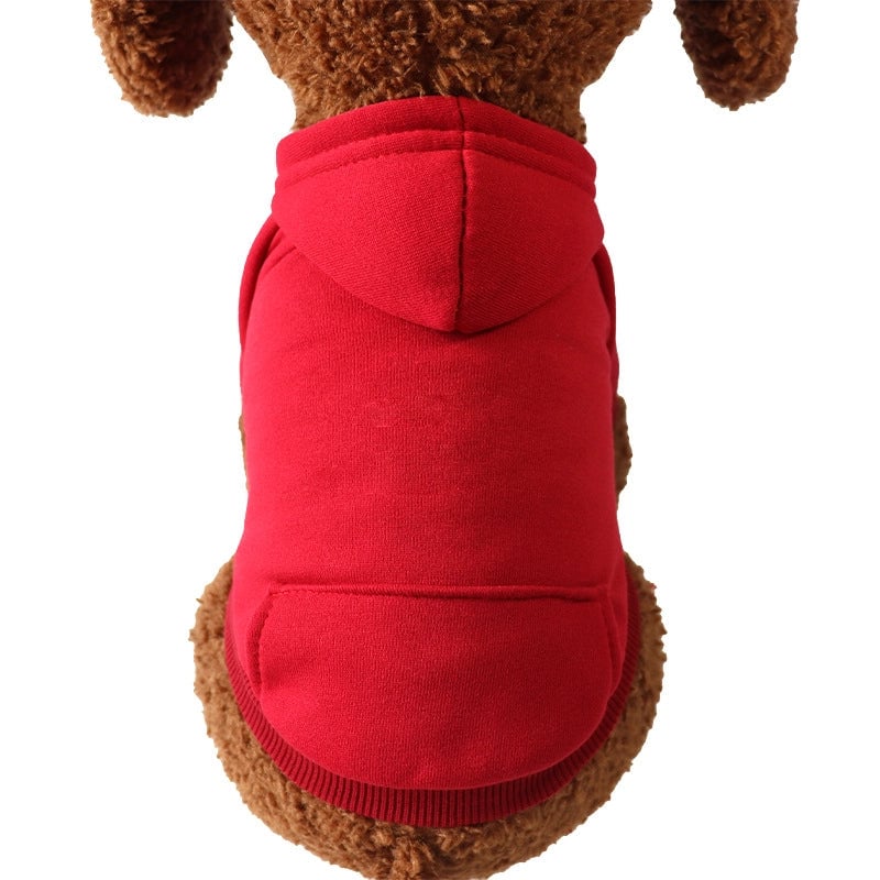 Pet Clothing Autumn And Winter Sweater Pocket Two-legged Clothes Sports Wind Dog Cat Clothes Pet Supplies Manufacturers