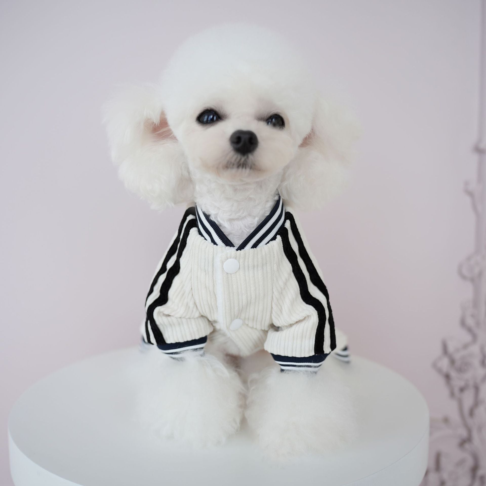 Sports Style Striped Dog Jumpsuits Harness