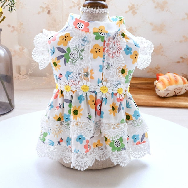 Floral Lace Design Dog Cat Dress