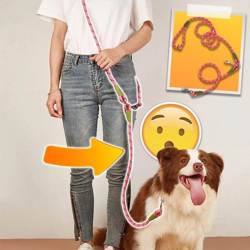 Hands Free Dog Leashes