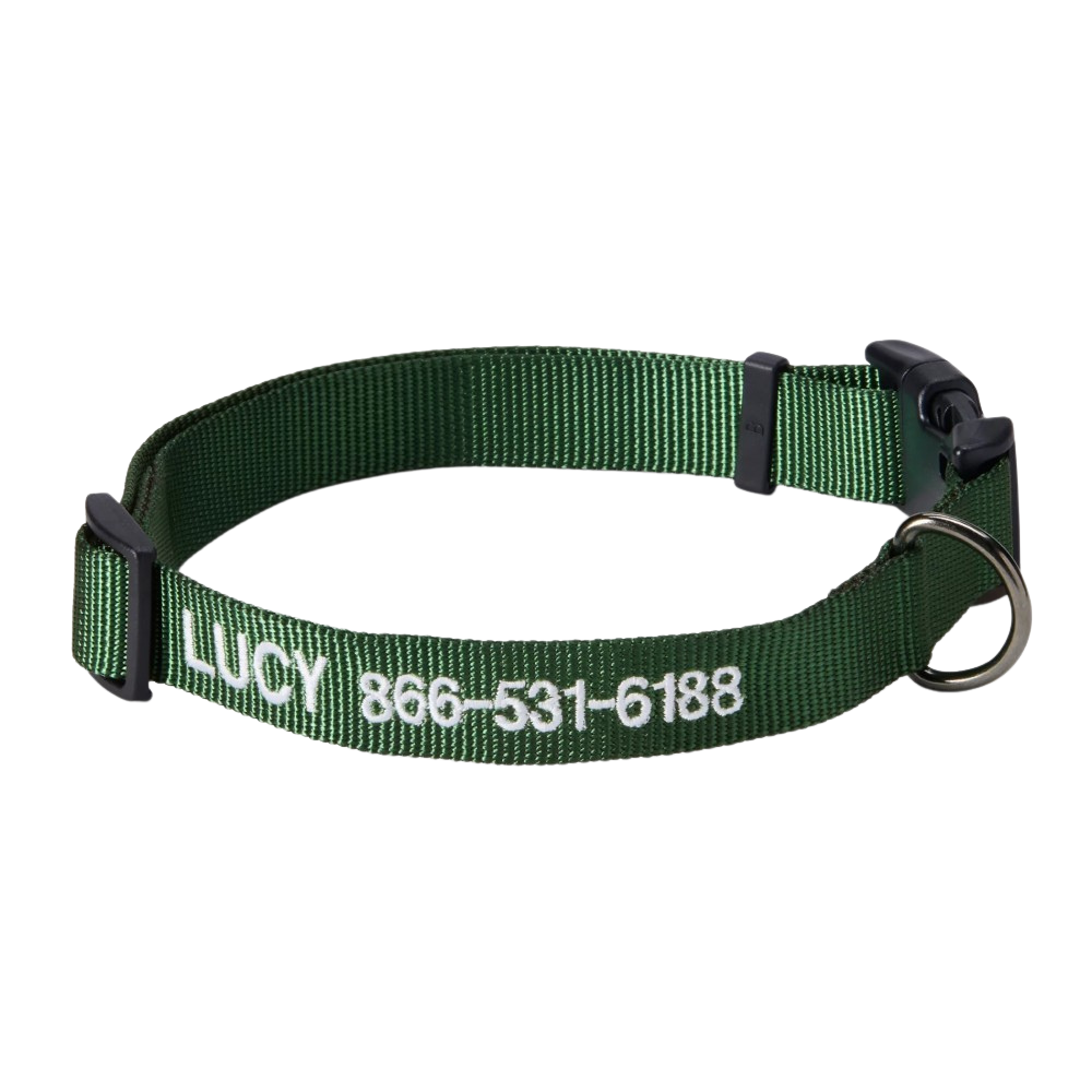 Personalized Side Release Buckle Collar