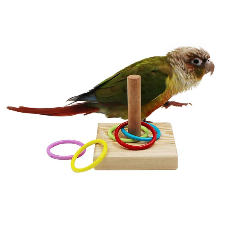 Wooden Stacking Rings Toy For Pet Birds