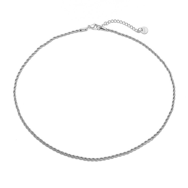 Stainless Steel IG Style Minimalist Plating Solid Color Necklace